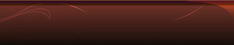 background category section